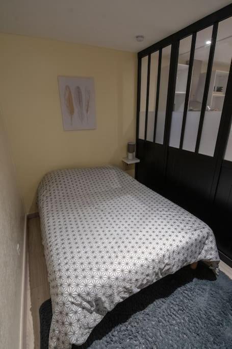 Studio Place De La Barre Le Cosy Apartment Macon Bagian luar foto