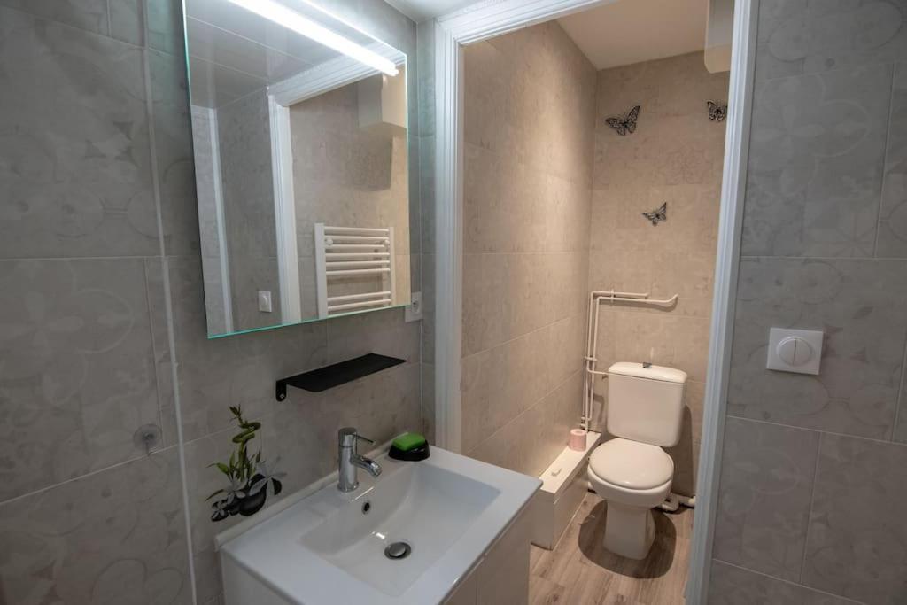Studio Place De La Barre Le Cosy Apartment Macon Bagian luar foto