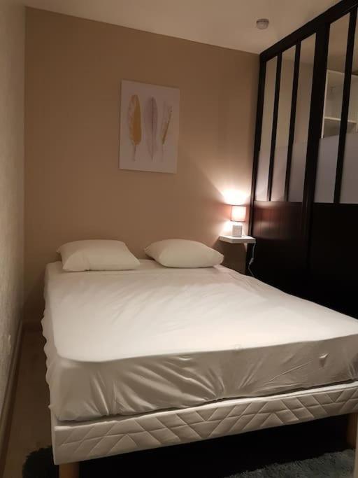 Studio Place De La Barre Le Cosy Apartment Macon Bagian luar foto